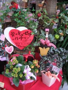 バレンタインの季節(^^)｜「フラワーギフト　花屋さん」　（福井県福井市の花キューピット加盟店 花屋）のブログ