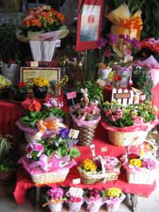 春を呼ぶお花たち♪｜「フラワーギフト　花屋さん」　（福井県福井市の花キューピット加盟店 花屋）のブログ