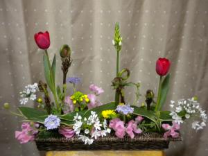 春めいて・・・｜「フラワーギフト　花屋さん」　（福井県福井市の花キューピット加盟店 花屋）のブログ