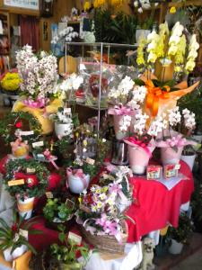 お花いろいろ入荷中♪｜「フラワーギフト　花屋さん」　（福井県福井市の花キューピット加盟店 花屋）のブログ