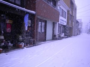 福井は雪です(&gt;_&lt;)～雪のように美しい白のシンピジューム～｜「フラワーギフト　花屋さん」　（福井県福井市の花キューピット加盟店 花屋）のブログ