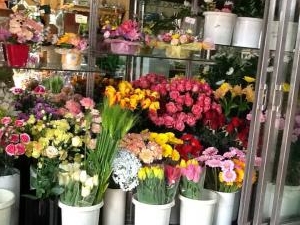 iPadからの初ブログ^_−☆｜「フラワーギフト　花屋さん」　（福井県福井市の花キューピット加盟店 花屋）のブログ