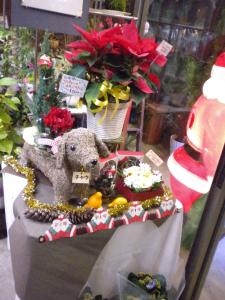１２月ですね・・・クリスマス近づく☆｜「フラワーギフト　花屋さん」　（福井県福井市の花キューピット加盟店 花屋）のブログ