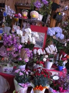 風薫る｜「フラワーギフト　花屋さん」　（福井県福井市の花キューピット加盟店 花屋）のブログ