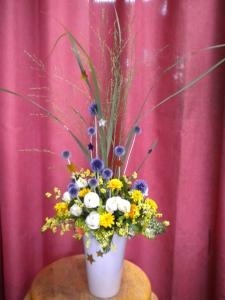 サボテン入荷しました♪｜「フラワーギフト　花屋さん」　（福井県福井市の花キューピット加盟店 花屋）のブログ