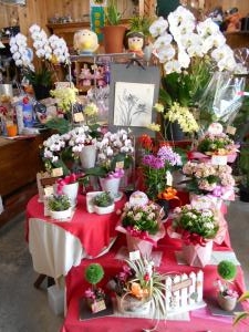 母の日近づく(^^♪｜「フラワーギフト　花屋さん」　（福井県福井市の花キューピット加盟店 花屋）のブログ
