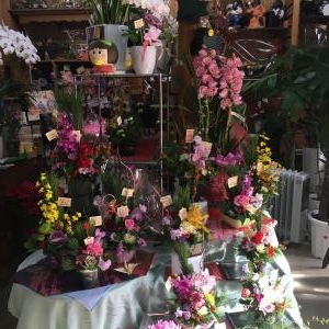 もうすぐお正月♪｜「フラワーギフト　花屋さん」　（福井県福井市の花キューピット加盟店 花屋）のブログ