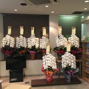 コチョウランお届けしました｜「フラワーギフト　花屋さん」　（福井県福井市の花キューピット加盟店 花屋）のブログ