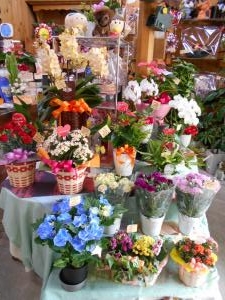 母の日近づく(^^♪｜「フラワーギフト　花屋さん」　（福井県福井市の花キューピット加盟店 花屋）のブログ