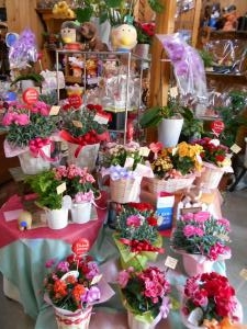 母の日(^^♪｜「フラワーギフト　花屋さん」　（福井県福井市の花キューピット加盟店 花屋）のブログ
