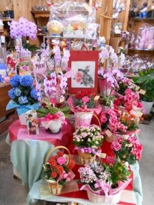 母の日(#^^#)｜「フラワーギフト　花屋さん」　（福井県福井市の花キューピット加盟店 花屋）のブログ