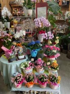 母の日(*^^*)|「フラワーギフト　花屋さん」　（福井県福井市の花屋）のブログ