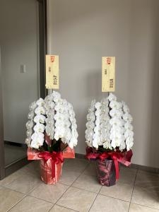 最近お届けしたお花色々「フラワーギフト　花屋さん」（福井県福井市の花屋）のギャラリー写真