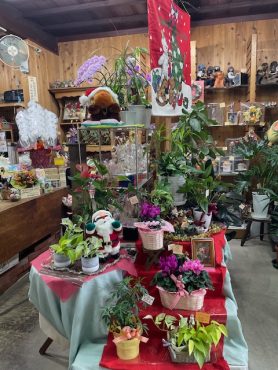 クリスマス☆彡｜「フラワーギフト　花屋さん」　（福井県福井市の花キューピット加盟店 花屋）のブログ