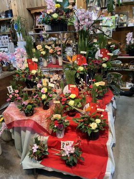お正月花|「フラワーギフト　花屋さん」　（福井県福井市の花屋）のブログ