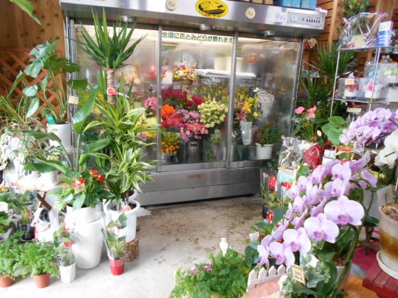 「フラワーギフト　花屋さん」　（福井県福井市）の花屋店舗写真4