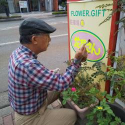 「フラワーギフト　花屋さん」　（福井県福井市）のスタッフ写真1
